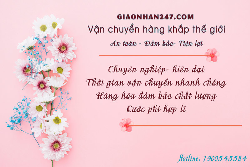 giaonhan247 mang den ban da dang lọi ich