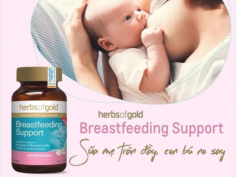 review Herbs Of Gold Breastfeeding Support 