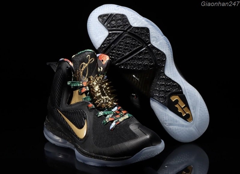 Nike Lebron 9 Watch The Throne