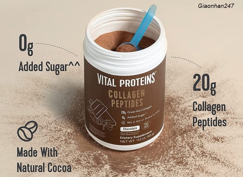 Vital Proteins Collagen Peptides Chocolate