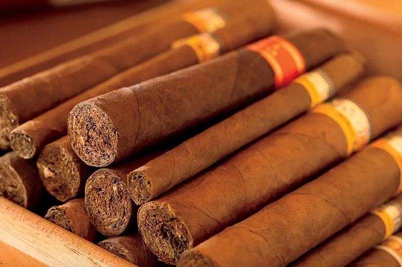 xì gà Best Cigar Prices